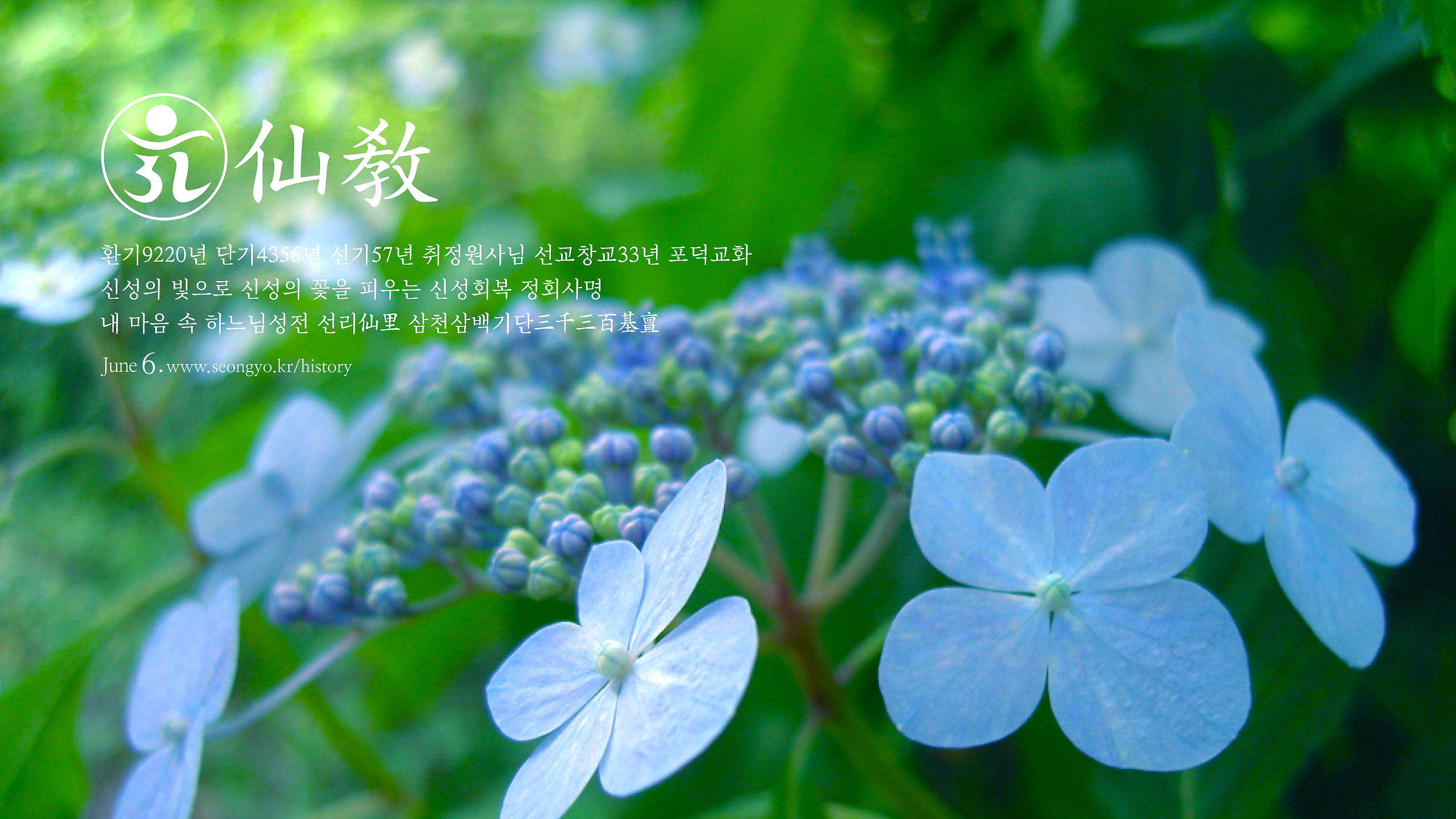 선교연혁, 선교창교, 선교창시, 선교 수행, 선교 기도, 선교의 역사, 포덕교화