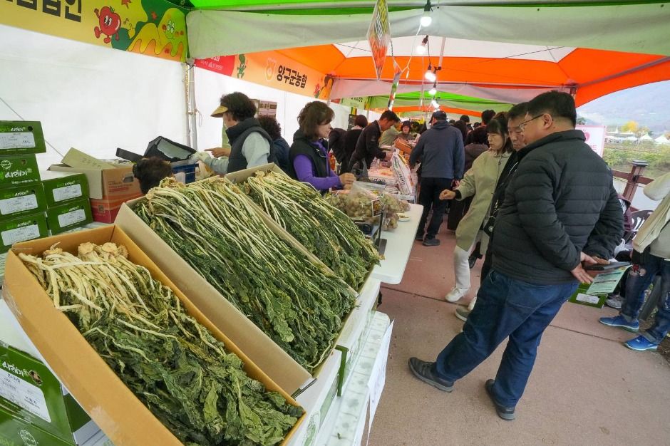 2025 청춘양구 펀치볼 시래기 사과축제 ❘ 일정 · 프로그램 · 먹거리 · 구매 정보 총정리 관련 사진