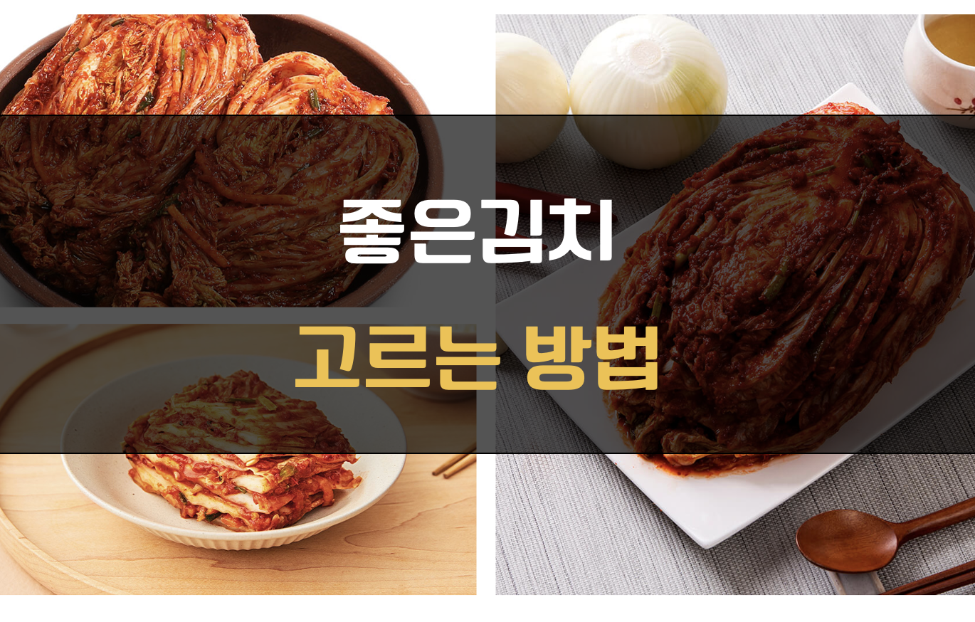 좋은 김치 고르기