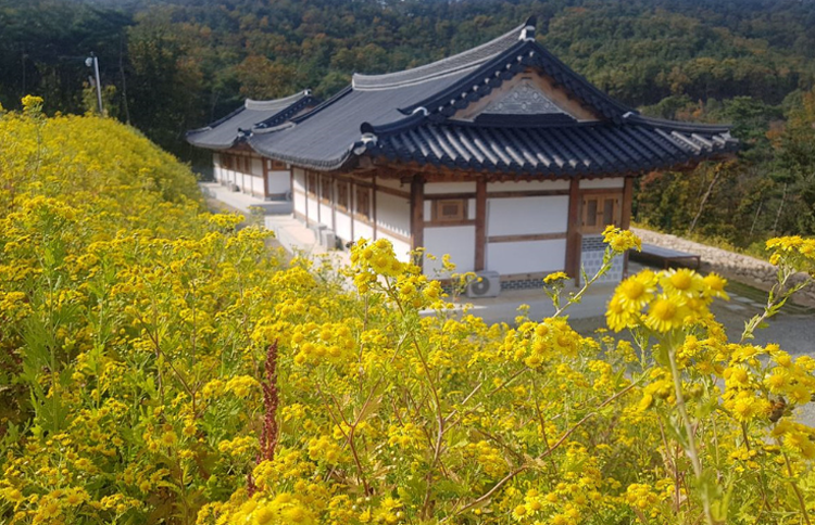 속리산 숲체험휴양마을