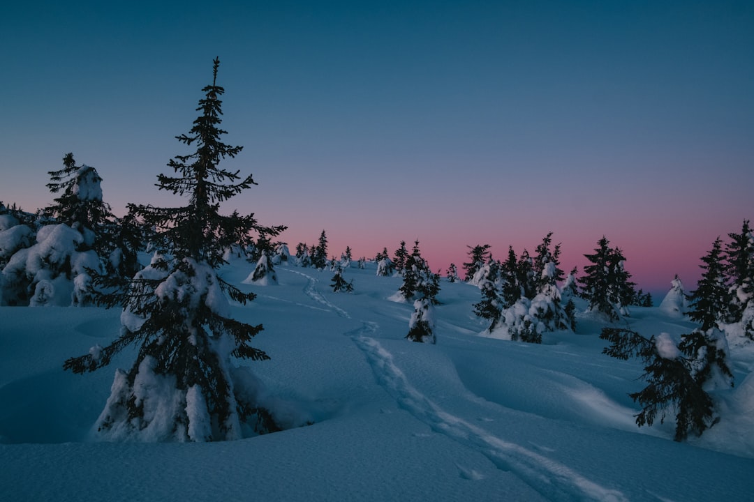 January
