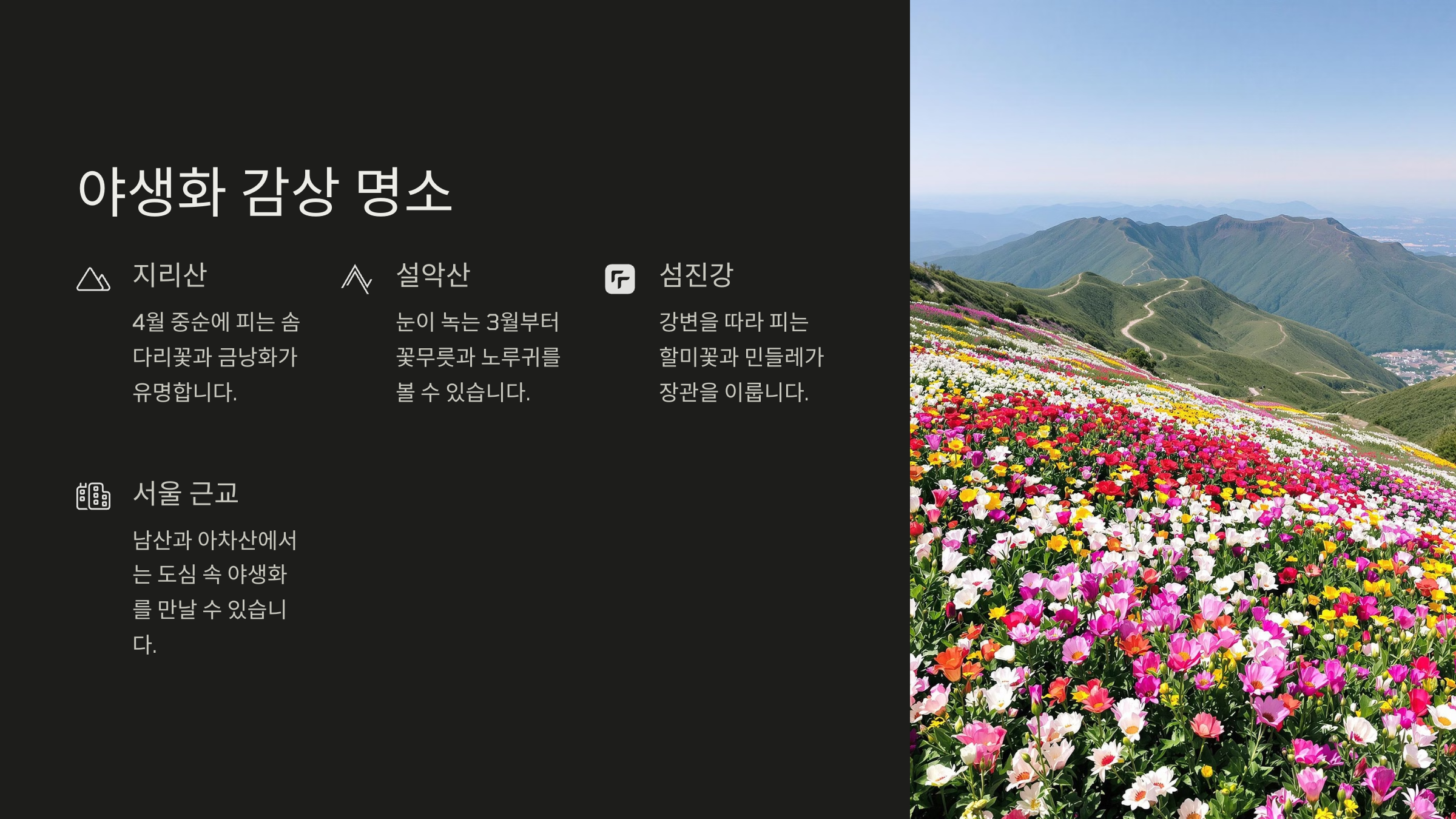 봄꽃 종류 야생화 종류 정리