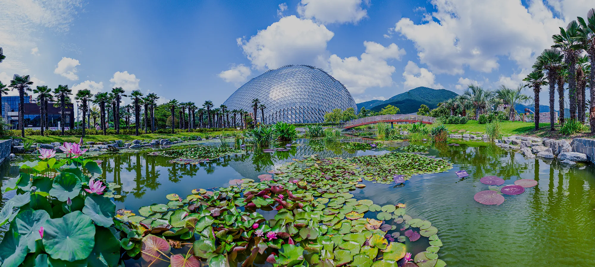 거제도 가볼만한곳 베스트10 현지인 추천 필수코스_7