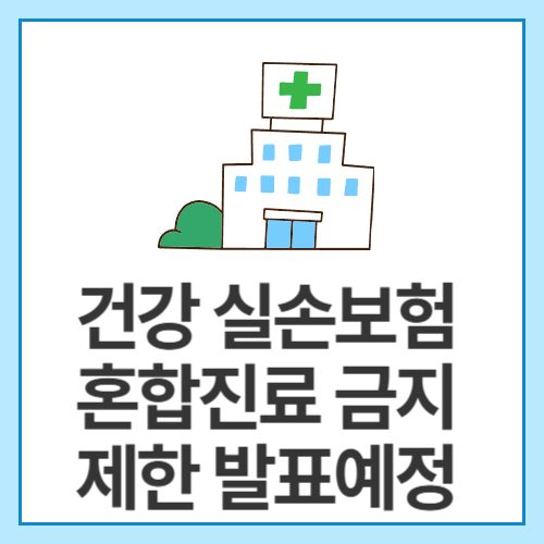 건강-실손보험-혼합진료-금지제한-발표예정