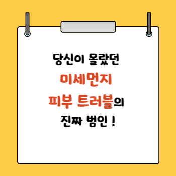 미세먼지 피부트러블