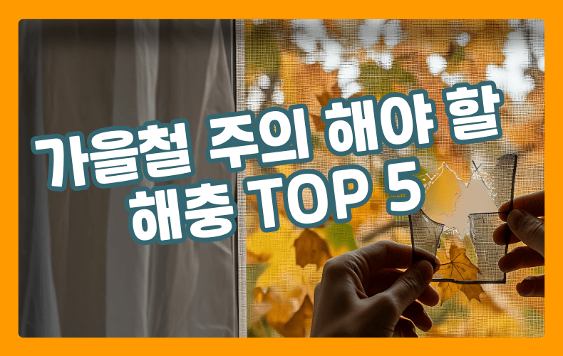 가을철 방충망 수리 표현