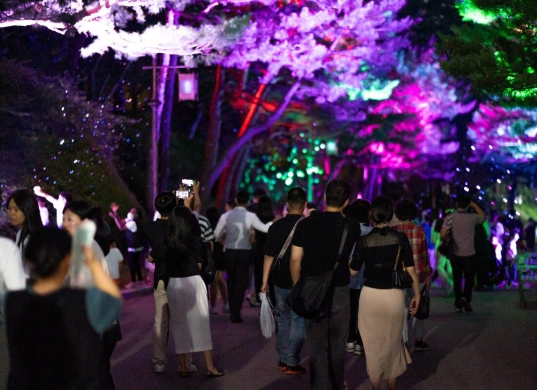 청와대 야간 개장