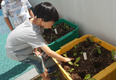 만3세 텃밭활동