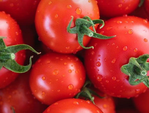 항산화 효과가있는 토마토