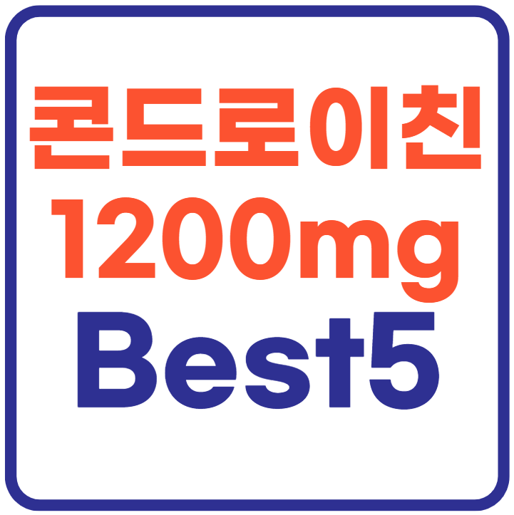 콘드로이친 1200mg추천