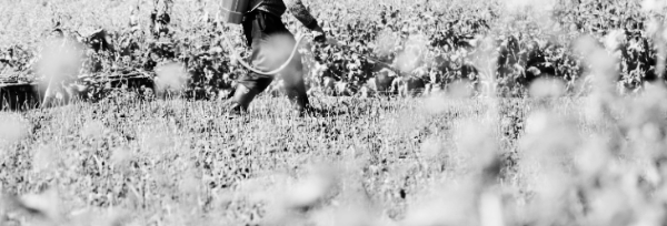 농지연금 가입조건: