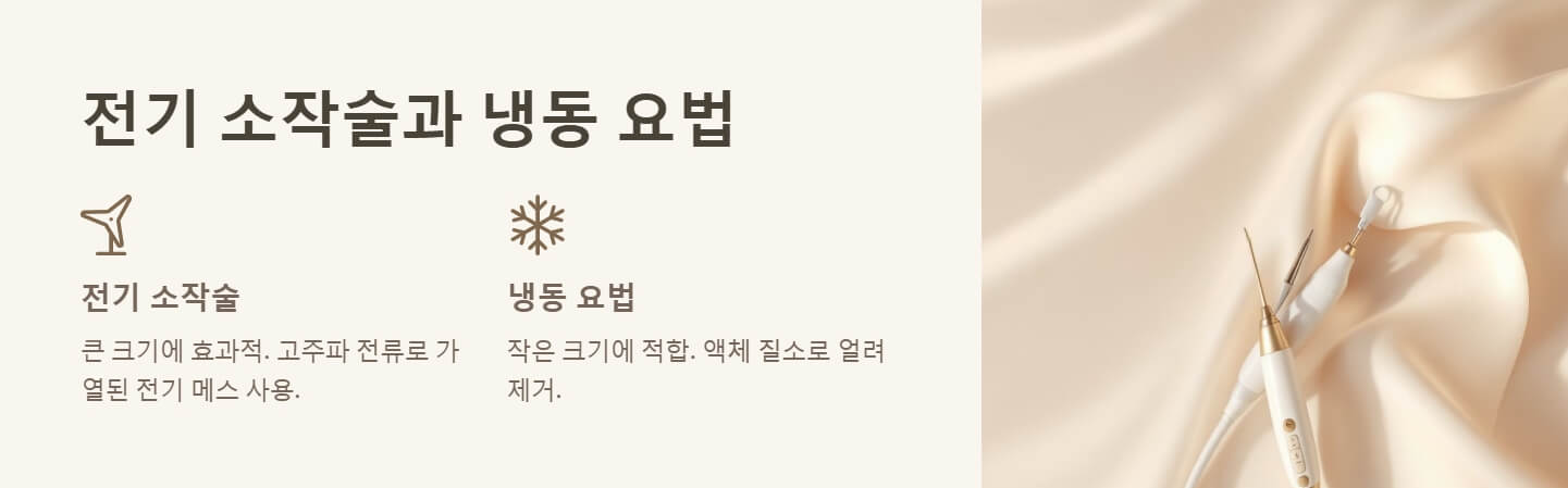 쥐젖 제거방법