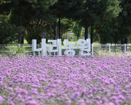 나리농원