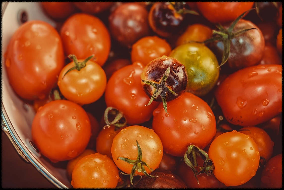 토마토 관련 이미지14