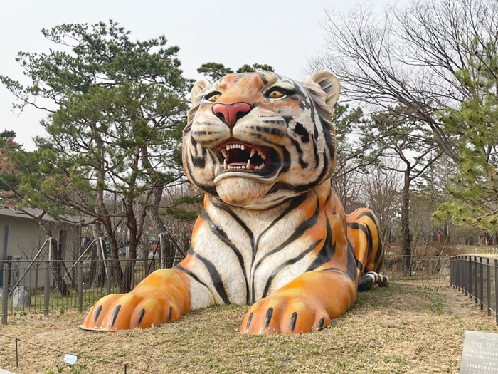 서울대공원-호랑이-모형