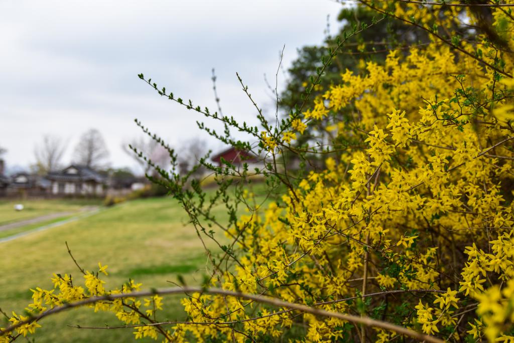 부소산성 - 백제 마지막 도읍의 흔적 찬란한 역사의 숨결을 느낄 수 있는 곳