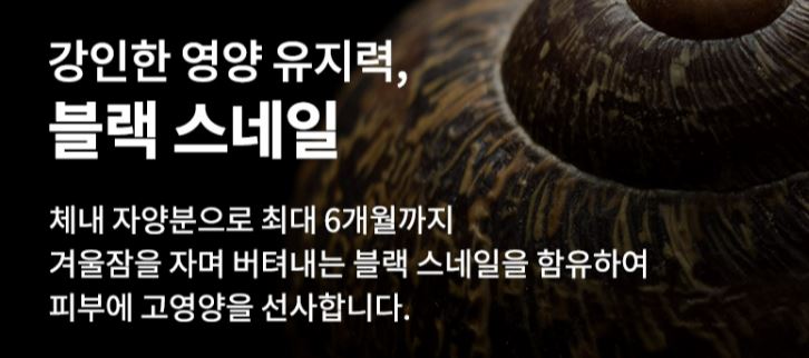 블랙스네일크림