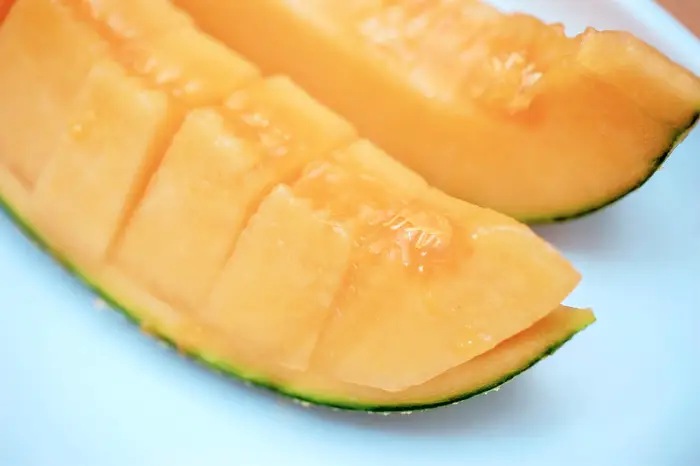 경남 김해 시원달콤함으로 입안 가득 메론 하면 양구 멜론 파는 곳 전화 택배 주문 맛집
