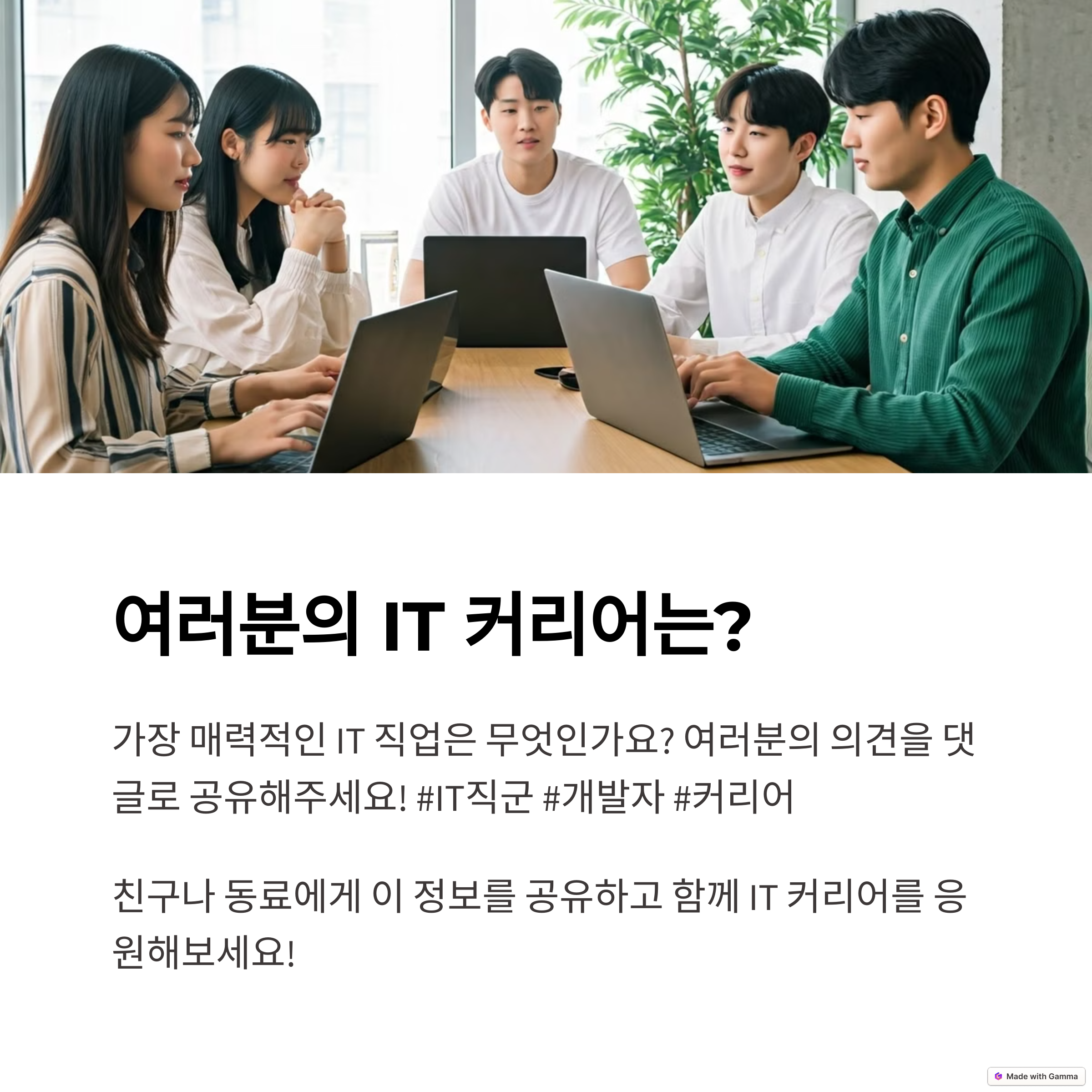 IT 커리어