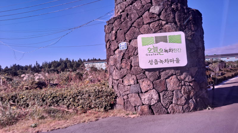 제주여행_성읍녹차마을