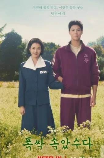 넷플릭스 폭싹 속았수다 촬영지 제주도 명소_17