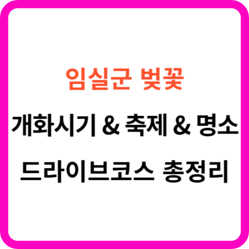 임실군 개화시기 명소 드라이브 코스 축제 썸네일