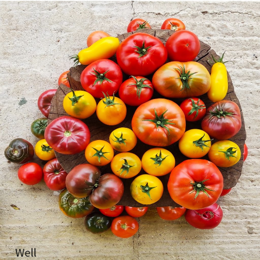 유방암에 좋은음식