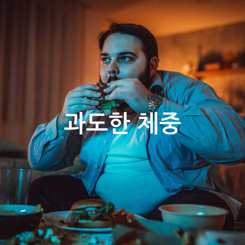 무릎통증관절운동영양제