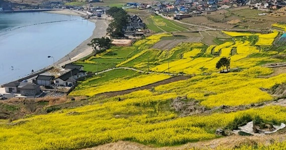 청산도 서편제 촬영장소