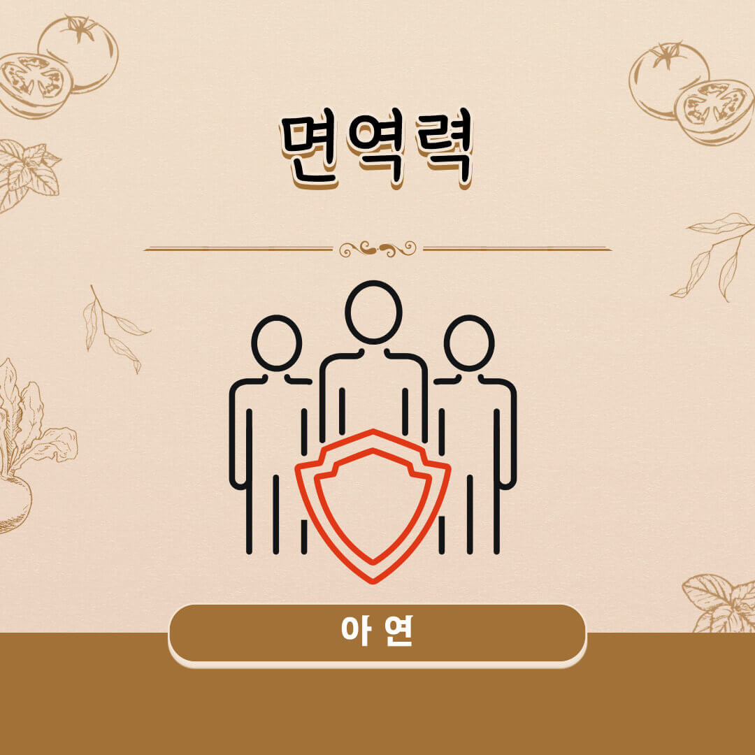 아연과 면역관리