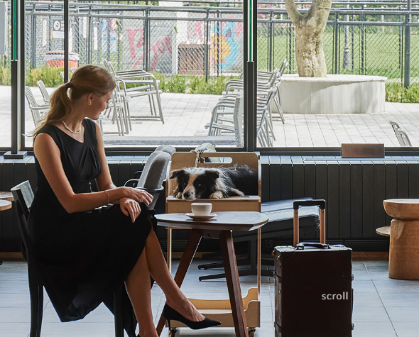 펫캉스 가능한 호텔 BEST 5