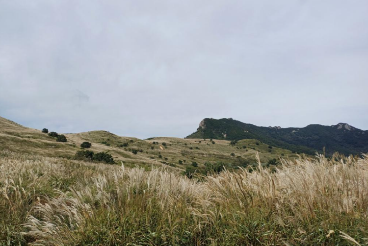 황매산 억새축제