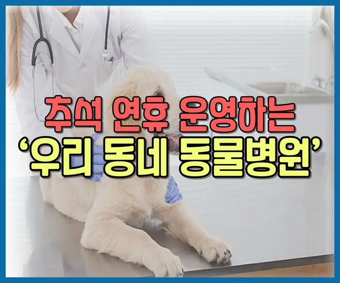 추석 연휴 명절 동물병원 약국 조회 총정리