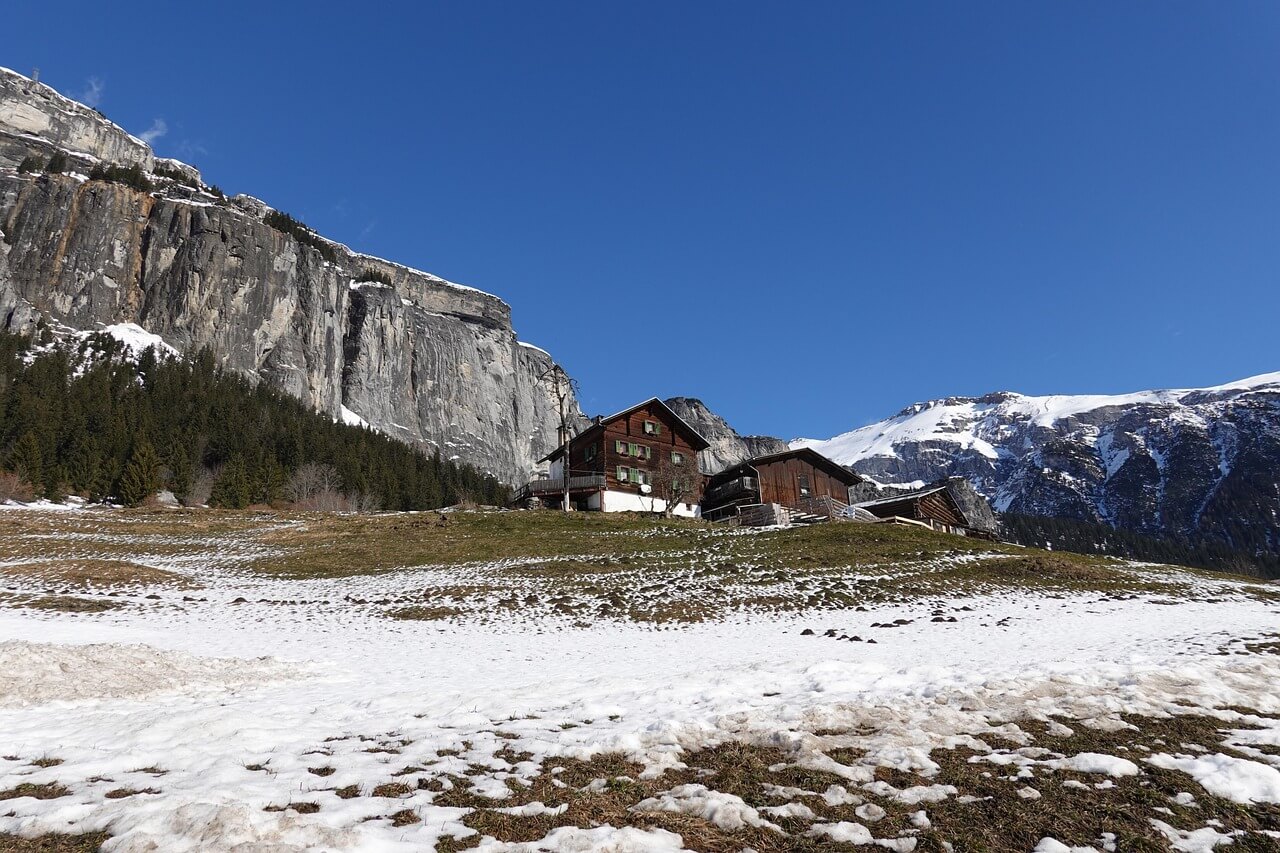 연말정산 미리보기 서비스