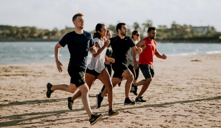 팝스 등급표 기준표