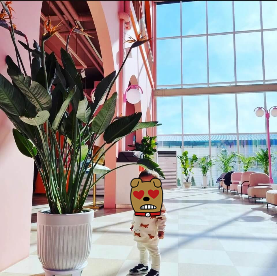 어린이날 갈만한곳 추천(김포 일산 대형 카페)