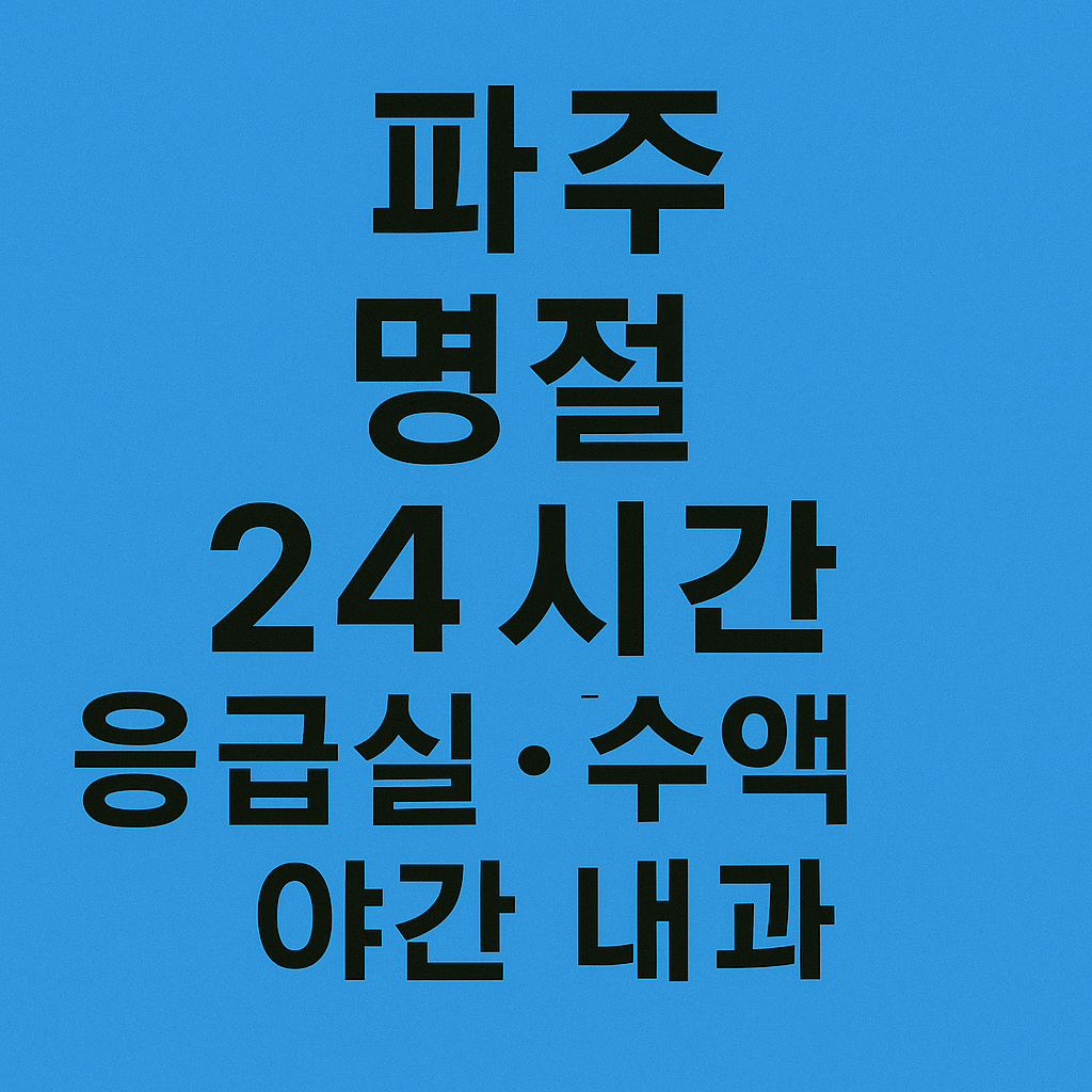 파주 명절 24시간 응급실&middot;수액&middot;야간 내과