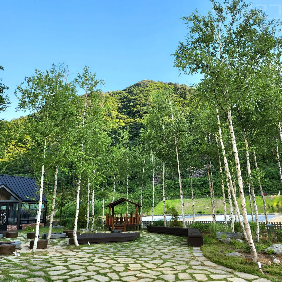 정선-파크로쉬-외부-자작나무