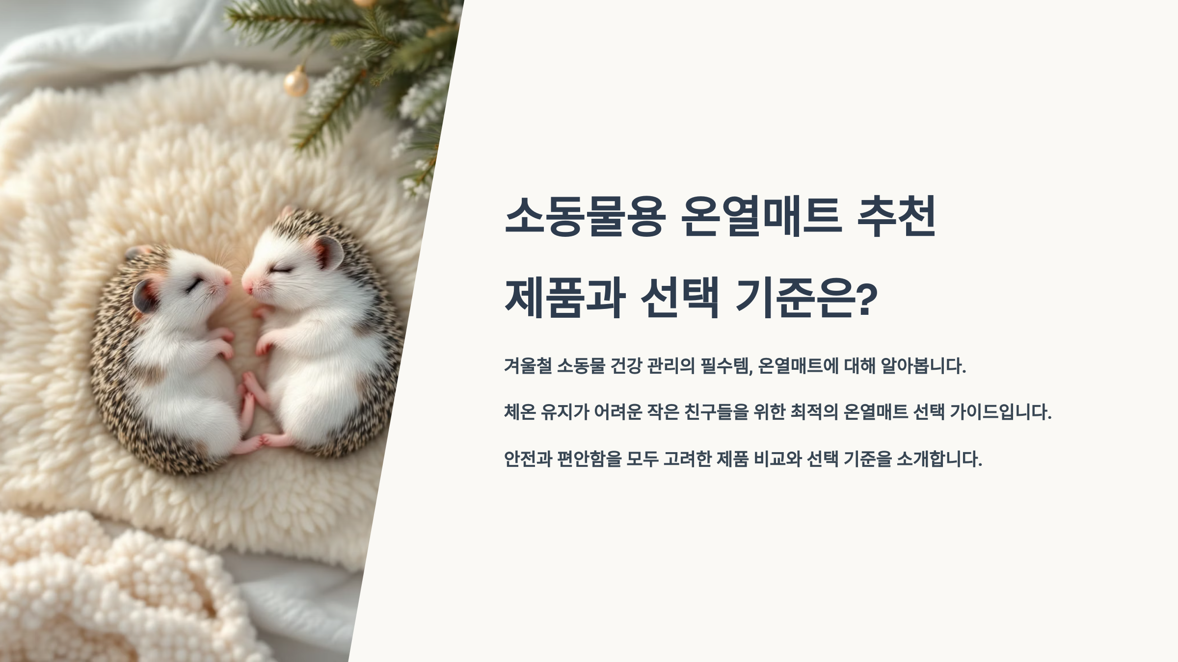 소동물용 온열매트 추천 제품과 선택 기준은?
