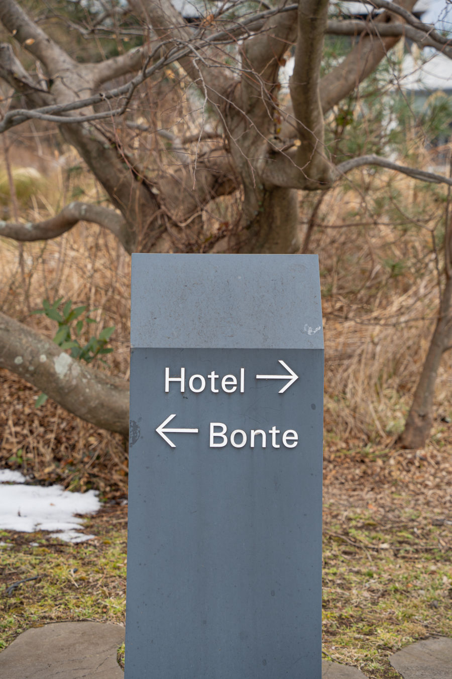 디아넥스 호텔 주차장