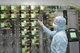 장애인고용시설 자금 융자 신청 대상과 지원