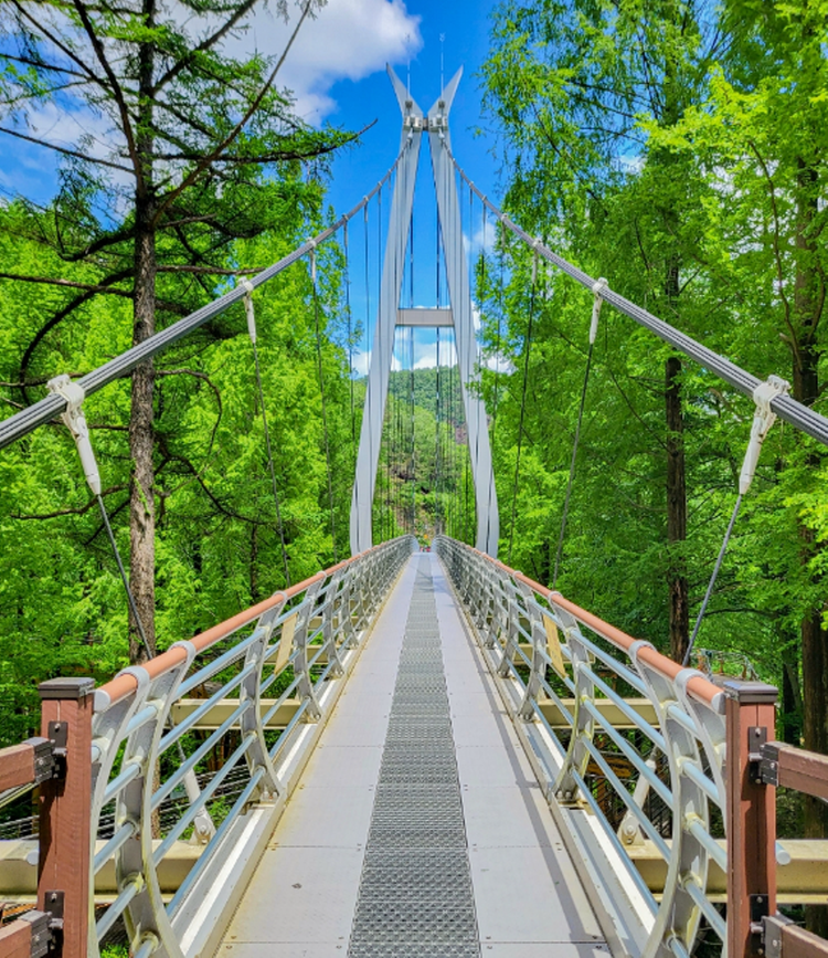 장태산 자연휴양림