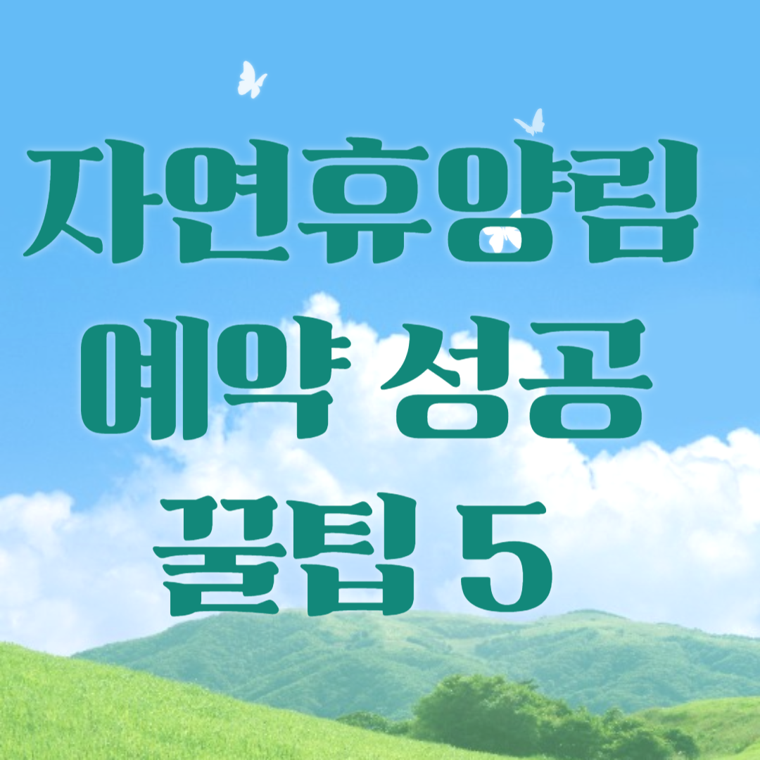 성수기 자연휴양림 예약 성공 전략! 꿀팁 5가지