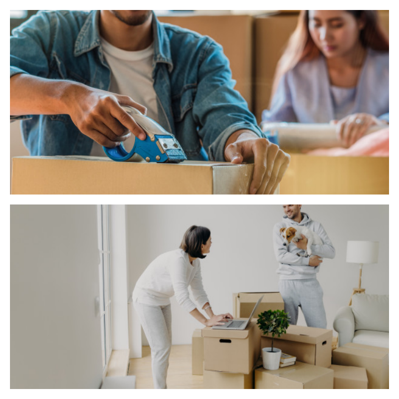 울진군 이삿짐센터