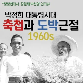 대통령 4년 연임제 중임제 차이 공통점 장단점에 대한 분석_15