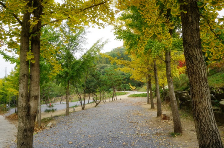 양평수목원캠핑장