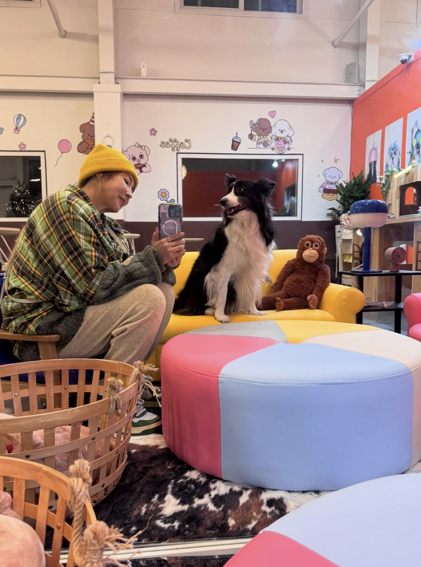 이상아 애견카페에서 촬영한 일상 모습 사진