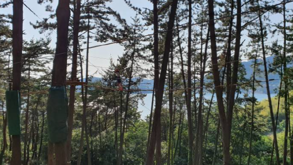 거제 맹종죽테마공원