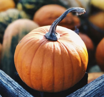 단호박 효능 부작용 영양성분 고르는법 칼로리