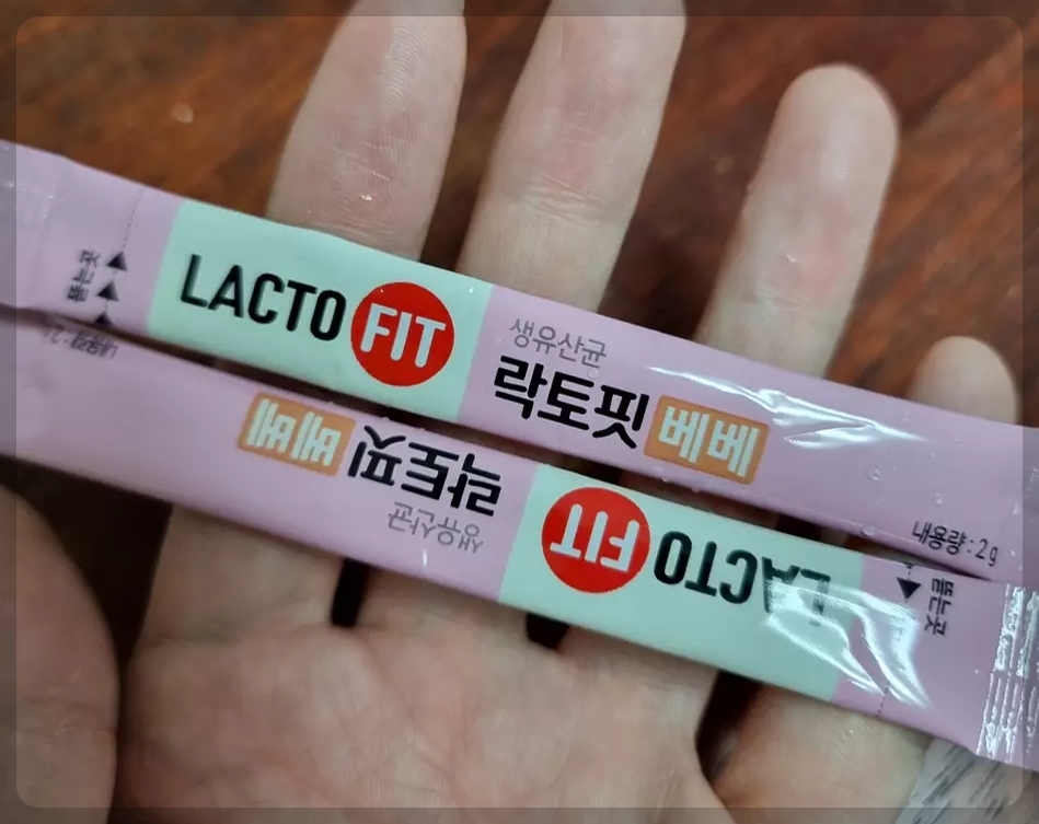 락토핏 베베 내돈내산 후기